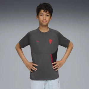 Obrázek produktu AC Milan PUMATECH Pocket Tee Youth, Clothing, Shadow Gray/Red,