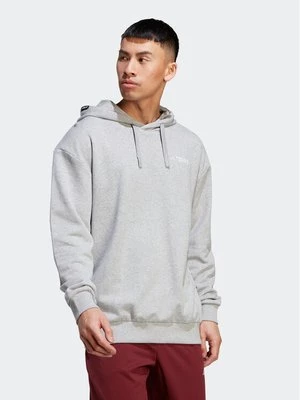 Obrázek produktu adidas Mikina Terrex Logo IB6564 Šedá Regular Fit