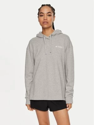 Obrázek produktu adidas Mikina Terrex Logo IB6567 Šedá Regular Fit