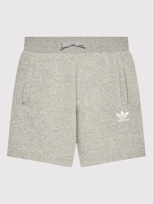 Obrázek produktu adidas Sportovní kraťasy adicolor HD2062 Šedá Regular Fit