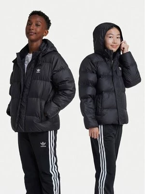 Obrázek produktu adidas Vatovaná bunda adicolor IY7498 Černá Regular Fit