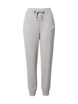 Obrázek produktu ALPHA INDUSTRIES Kalhoty  šedá