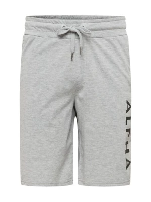 Obrázek produktu ALPHA INDUSTRIES Kalhoty  šedá / černá