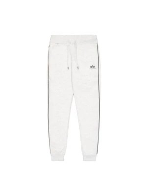 Obrázek produktu ALPHA INDUSTRIES Kalhoty  šedá / černá