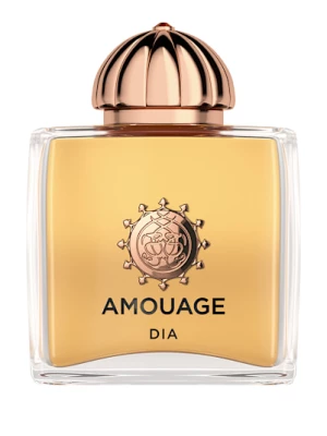 Obrázek produktu Amouage Dia Woman Eau de Parfum 100 ml