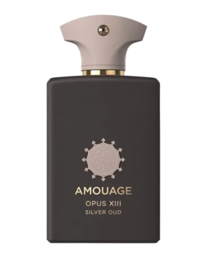 Obrázek produktu Amouage Opus Xiii Silver Oud Eau de Parfum 100 ml