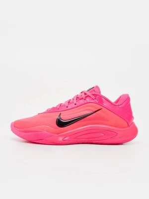 Obrázek produktu Basketbalové boty Nike Performance
