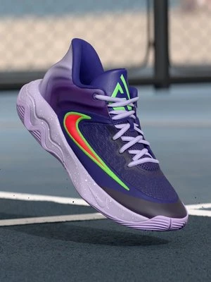 Obrázek produktu Basketbalové boty Nike Performance