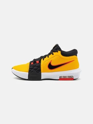 Obrázek produktu Basketbalové boty Nike Performance
