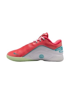 Obrázek produktu Basketbalové boty Nike Performance