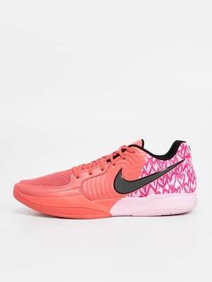 Obrázek produktu Basketbalové boty Nike Performance