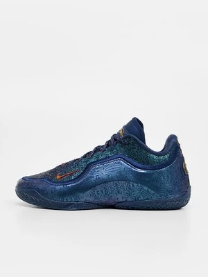 Obrázek produktu Basketbalové boty Nike Performance