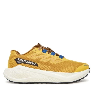 Obrázek produktu Běžecké boty Salomon Aero Blaze 3 Grvl L47974200 Žlutá
