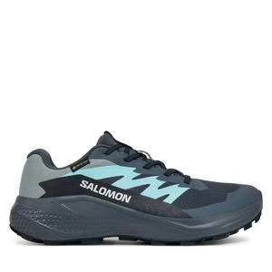 Obrázek produktu Běžecké boty Salomon Alphaglide Gore-Tex L47802500 Šedá