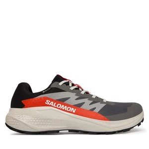Obrázek produktu Běžecké boty Salomon Alphaglide Gore-Tex L47975300 Šedá