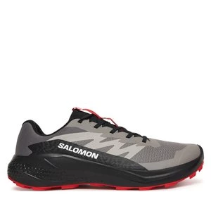 Obrázek produktu Běžecké boty Salomon Alphaglide L48000800 Šedá