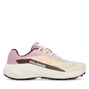 Obrázek produktu Běžecké boty Salomon Alphaglide W L49092800 Krémová