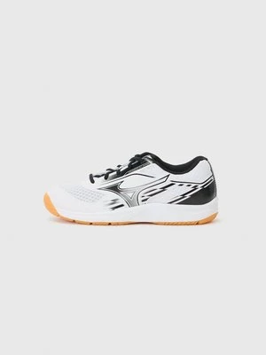 Obrázek produktu Boty na házenou Mizuno