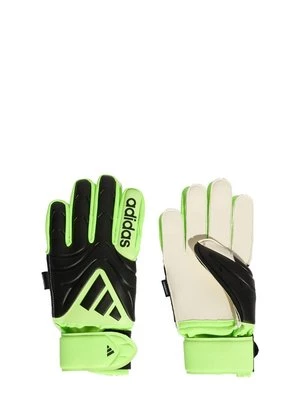 Obrázek produktu Brankářské rukavice adidas performance