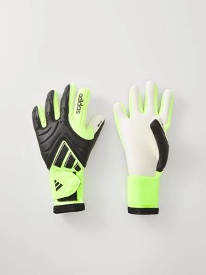 Obrázek produktu Brankářské rukavice adidas performance