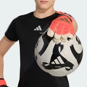 Obrázek produktu Brankářské rukavice Predator Training Junior Adidas