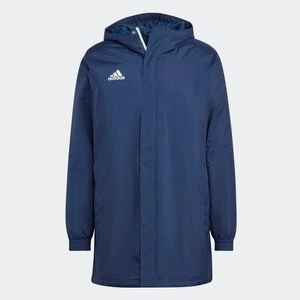 Obrázek produktu Bunda Entrada 22 Stadium Adidas