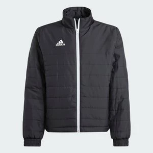 Obrázek produktu Bunda Entrada Light Adidas