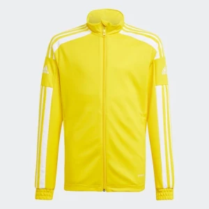 Obrázek produktu Bunda Squadra 21 Training Adidas