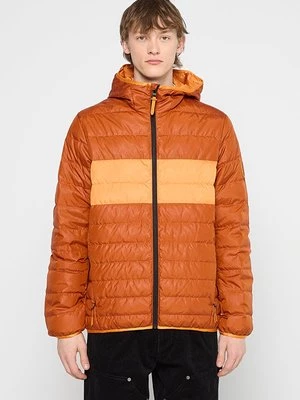 Obrázek produktu Bunda z prachového peří Coach