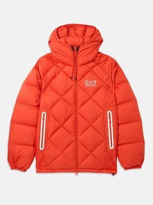 Obrázek produktu Bunda z prachového peří EA7 Emporio Armani