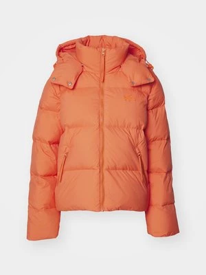 Obrázek produktu Bunda z prachového peří Lacoste