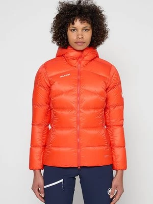 Obrázek produktu Bunda z prachového peří mammut