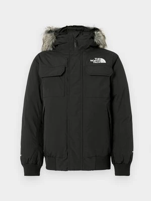 Obrázek produktu Bunda z prachového peří The North Face