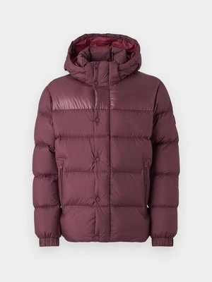 Obrázek produktu Bunda z prachového peří Tommy Hilfiger bordeaux
