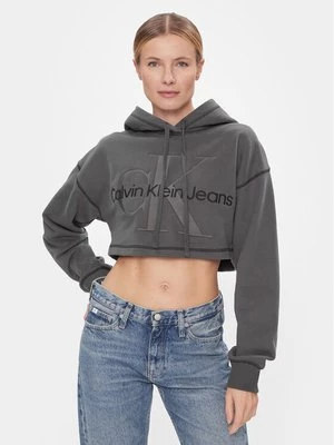 Obrázek produktu Calvin Klein Jeans Mikina Hero Monologo Short Hoodie J20J222540 Šedá Regular Fit