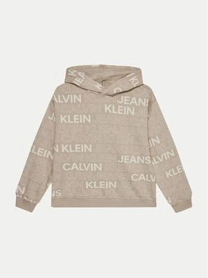 Obrázek produktu Calvin Klein Jeans Mikina IB0IB02381 Šedá Regular Fit