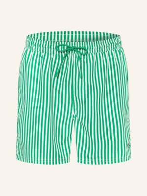 Obrázek produktu Calvin Klein Plavky zelená / bílá