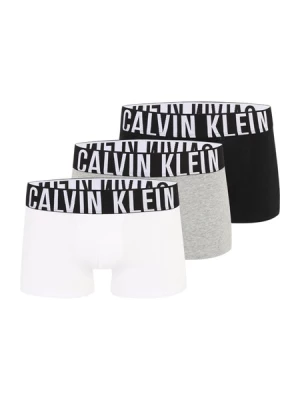 Obrázek produktu Calvin Klein Underwear Boxerky 'Intense Power'  šedá / černá / bílá