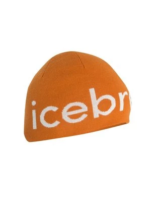 Obrázek produktu Čepice Icebreaker