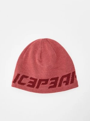 Obrázek produktu Čepice icepeak
