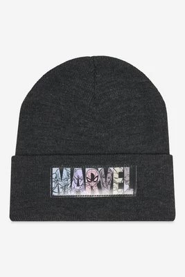 Obrázek produktu Čepice Marvel