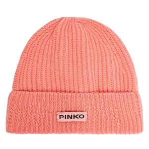 Obrázek produktu Čepice Pinko Lambkin Cuffia AI 24-25 BLK01 104489 A1CH Korálová