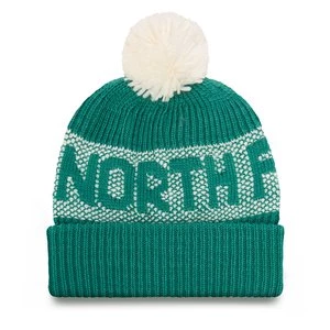 Obrázek produktu Čepice The North Face Retro Cabin NF0A88QW Zelená