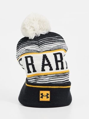 Obrázek produktu Čepice Under Armour