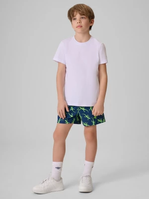 Obrázek produktu Chlapecké plážové boardshorty - multicolor 4F