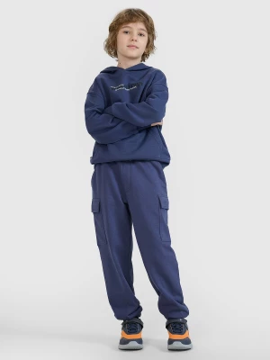 Obrázek produktu Chlapecké teplákové jogger kalhoty - šedé 4F