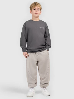 Obrázek produktu Chlapecký loose longsleeve s potiskem - šedý 4F