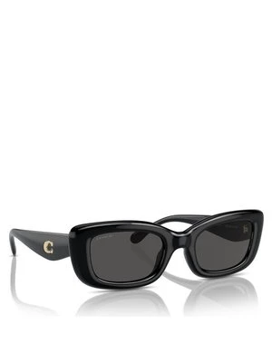 Obrázek produktu Coach Sluneční brýle 0HC8390U 500287 Černá
