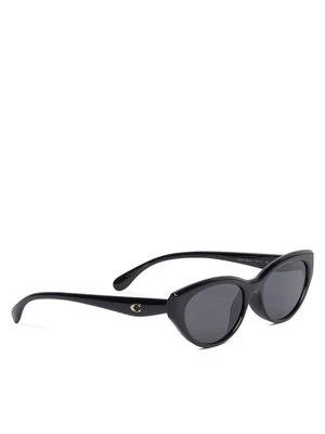 Obrázek produktu Coach Sluneční brýle 0HC8456D 500287 Černá