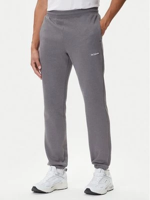 Obrázek produktu Columbia Teplákové kalhoty Meridian Creek™ 2105861 Šedá Regular Fit